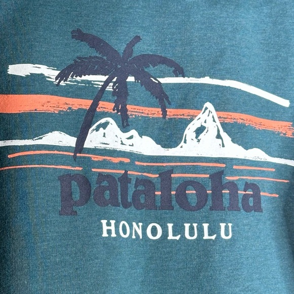 Patagonia Pataloha Men S Honolulu Hawaii Full Zip Hoodie Teal Organic - Picture 3 of 15